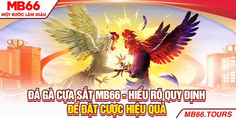 Đá gà cựa sắt